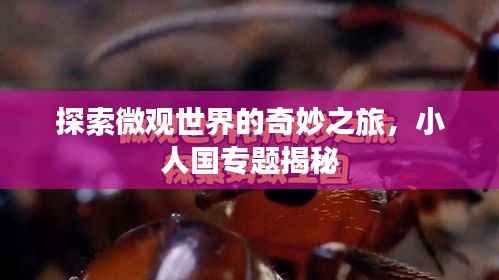 探索微观世界的奇妙之旅，小人国专题揭秘