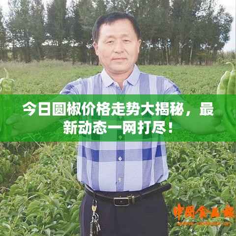 百不一遇 第3页