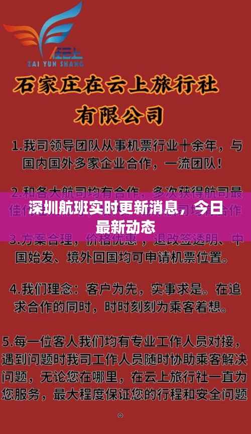 深圳航班实时更新消息，今日最新动态