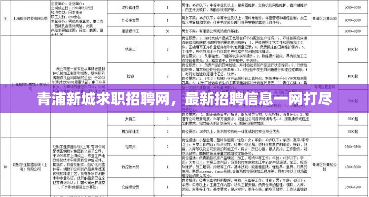 青浦新城求职招聘网，最新招聘信息一网打尽