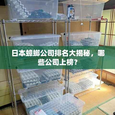 日本蟑螂公司排名大揭秘，哪些公司上榜？