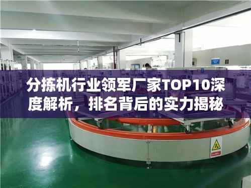 分拣机行业领军厂家TOP10深度解析，排名背后的实力揭秘！