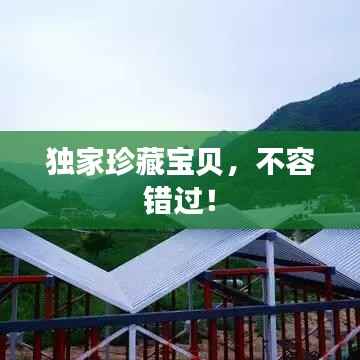 独家珍藏宝贝，不容错过！