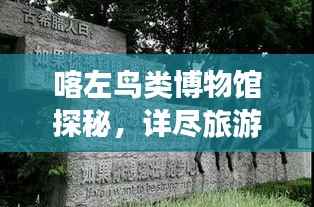 喀左鸟类博物馆探秘，详尽旅游攻略指南