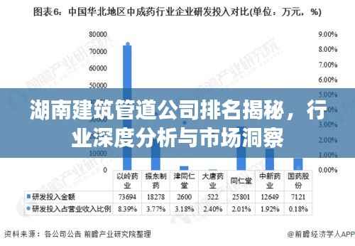 湖南建筑管道公司排名揭秘，行业深度分析与市场洞察