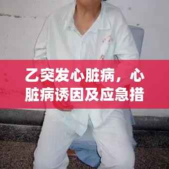 乙突发心脏病，心脏病诱因及应急措施全解析