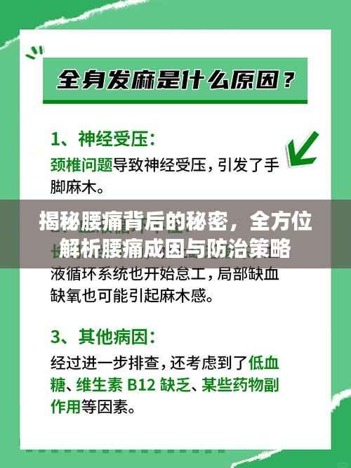 揭秘腰痛背后的秘密，全方位解析腰痛成因与防治策略