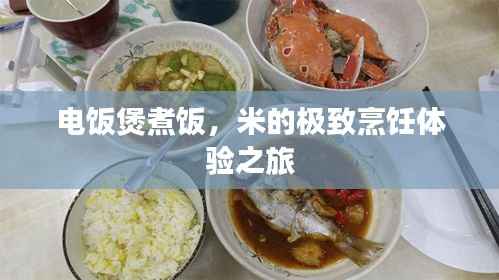 行疾如飞 第3页