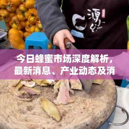 今日蜂蜜市场深度解析，最新消息、产业动态及消费者关注点一网打尽