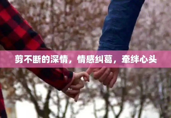 椎髻布衣 第3页