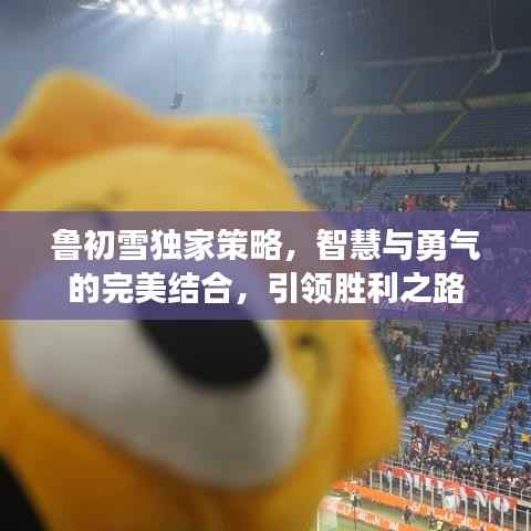 鲁初雪独家策略，智慧与勇气的完美结合，引领胜利之路