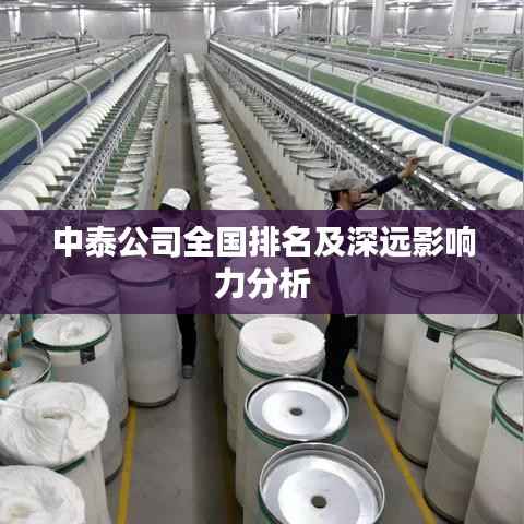 中泰公司全国排名及深远影响力分析