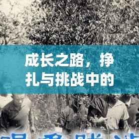 成长之路，挣扎与挑战中的蜕变之路