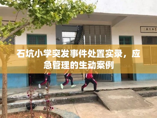 石坑小学突发事件处置实录，应急管理的生动案例