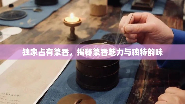 独家占有篆香，揭秘篆香魅力与独特韵味