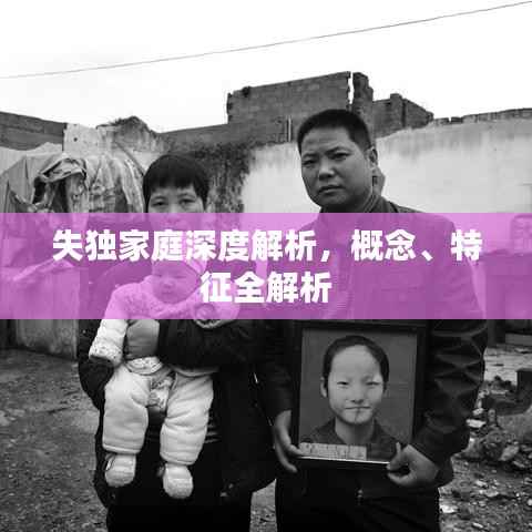 失独家庭深度解析，概念、特征全解析