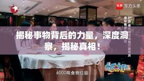 揭秘事物背后的力量，深度洞察，揭秘真相！
