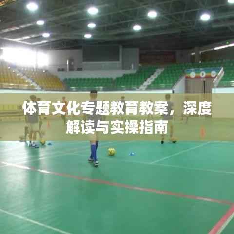 体育文化专题教育教案，深度解读与实操指南
