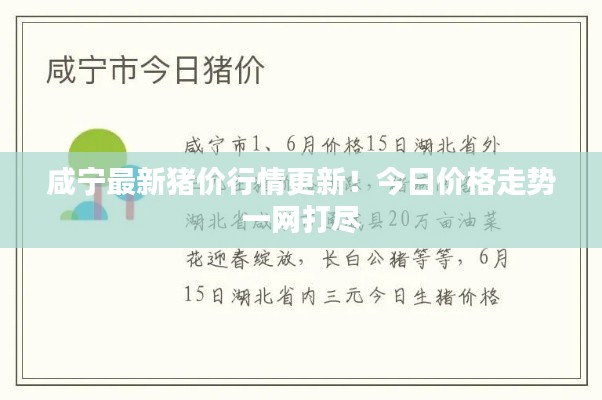 咸宁最新猪价行情更新！今日价格走势一网打尽