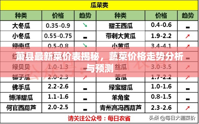 萧县最新菜价表揭秘，蔬菜价格走势分析与预测