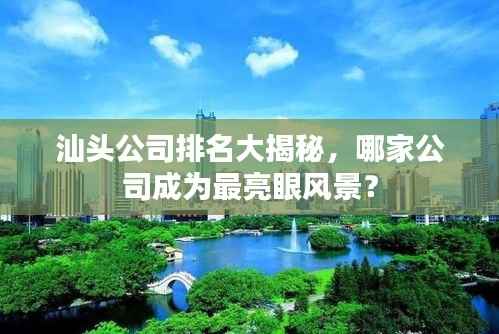 汕头公司排名大揭秘，哪家公司成为最亮眼风景？