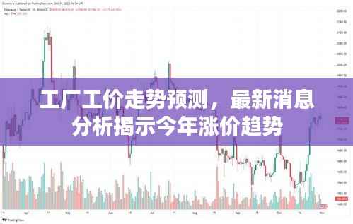 工厂工价走势预测，最新消息分析揭示今年涨价趋势