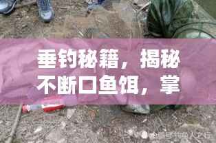 垂钓秘籍，揭秘不断口鱼饵，掌握垂钓秘密武器！