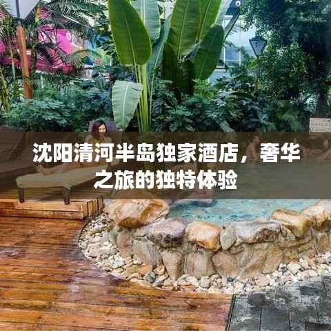 百鸟齐鸣 第4页