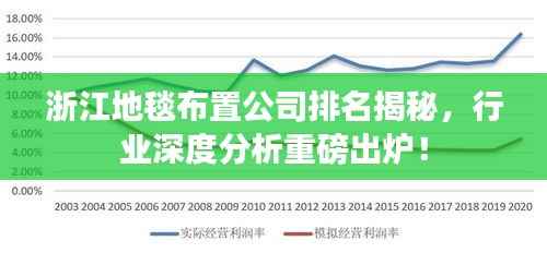 浙江地毯布置公司排名揭秘，行业深度分析重磅出炉！