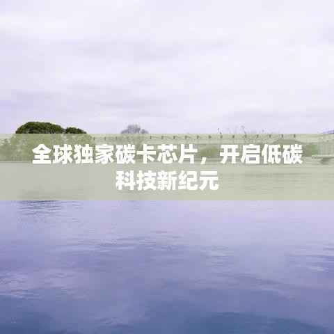 全球独家碳卡芯片，开启低碳科技新纪元