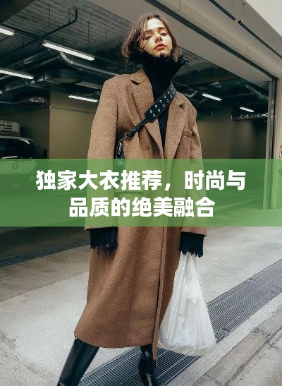 独家大衣推荐，时尚与品质的绝美融合