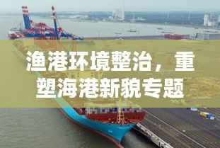 渔港环境整治，重塑海港新貌专题