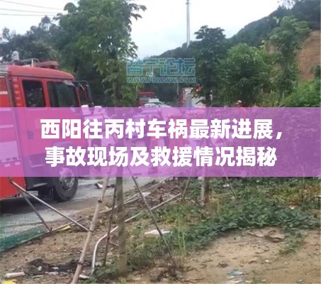 西阳往丙村车祸最新进展，事故现场及救援情况揭秘