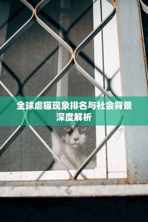 全球虐猫现象排名与社会背景深度解析
