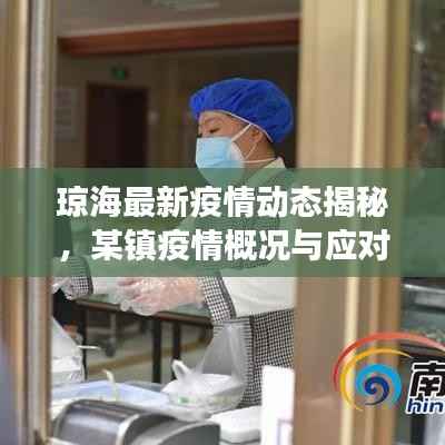 琼海最新疫情动态揭秘，某镇疫情概况与应对策略全面解读