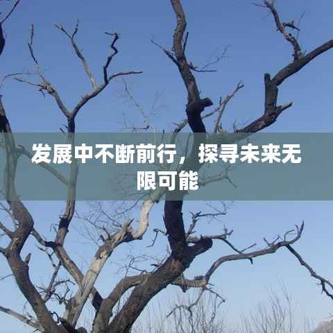 发展中不断前行，探寻未来无限可能
