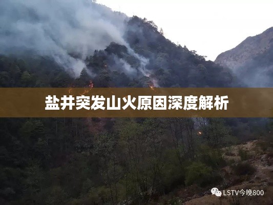 盐井突发山火原因深度解析