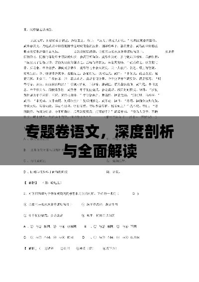 专题卷语文，深度剖析与全面解读