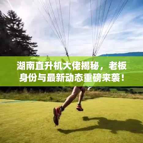 湖南直升机大佬揭秘，老板身份与最新动态重磅来袭！