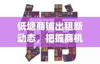 低塘商铺出租新动态，把握商机，轻松开店指南