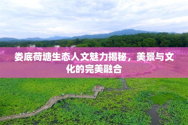 娄底荷塘生态人文魅力揭秘，美景与文化的完美融合