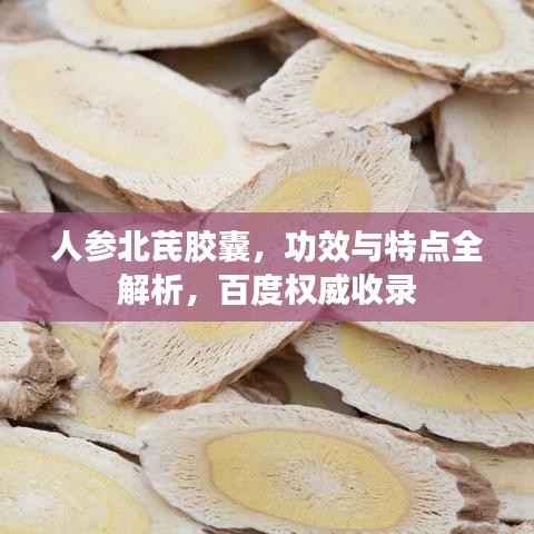 人参北芪胶囊，功效与特点全解析，百度权威收录
