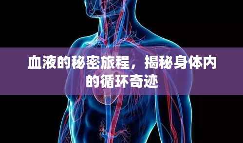 手不释卷 第4页